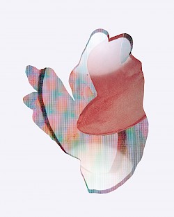 <i>Screenshot #4</i>, 2016
<em>Analoger C-Print</em>
190 x 150 cm
Unikat
