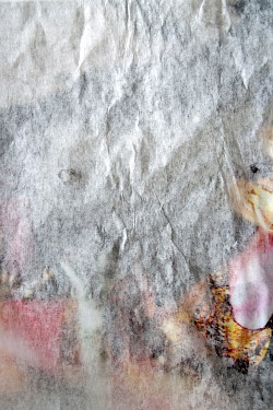 <i>Noli #3</i>, 2014
<em>C-Print</em>
40,75 x 30 cm