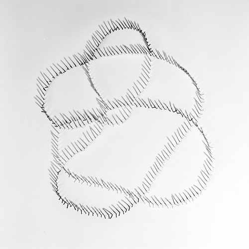 <i>Invariant Variation #33</i>, 2013<br />
<em>Analoger SW-Print</em><br />
10 x 10 cm