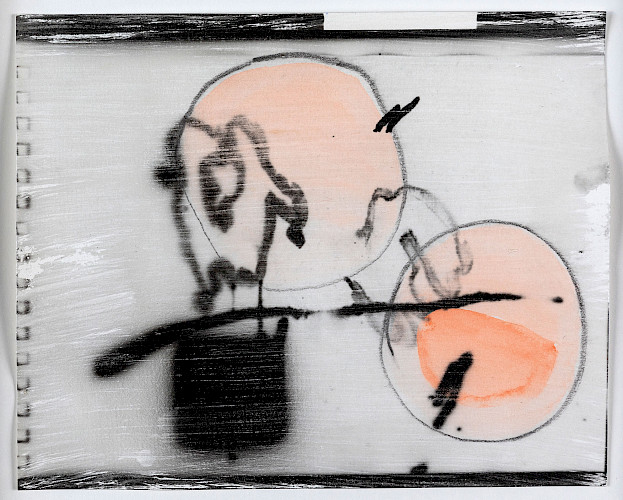 <i>Haiku #6</i>, 2022<br />
<em>Direktbelichtung vom Laptop-Bildschirm auf selbstbeschichtetem Bergger Papier, Zeichnung, Aquarell</em><br />
20 x 25 cm<br />
Unikat