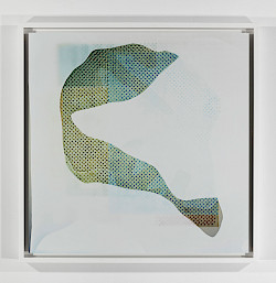 <i>Polkadots #4</i>, 2018/24<br />
<em>Analoger C-Print, Handabzug</em><br />
54,5 x 54,5 x 4 cm