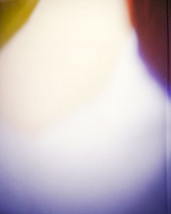 <i>Lee # 4</i>, 2024
<em>Analoger C-Print</em>
140 x 112 cm | Unikat